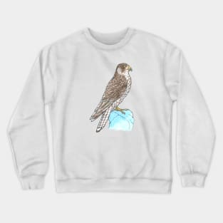 Peregrine Falcon Crewneck Sweatshirt